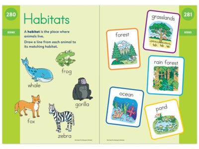 Brain Quest Workbook&nbsp;- Pre-K