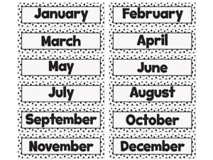 Black Dots on White Months of the Year Bulletin Board Set