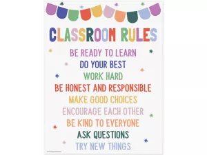 Color Crush Classroom Rules Poster