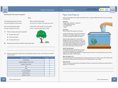 Summer Bridge Activities Workbook&nbsp;- Gr.&nbsp;<span style="white-space: nowrap;">2-3</span>