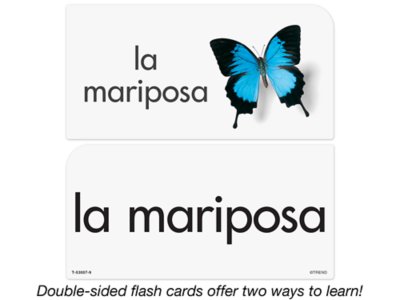 Más palabras e imágenes (More Spanish Picture-Words) Flash Cards